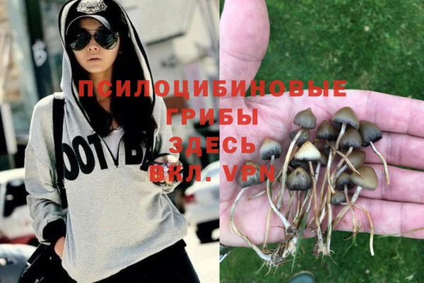 спиды Нязепетровск