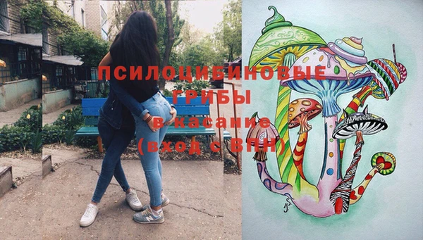 дурь Нягань
